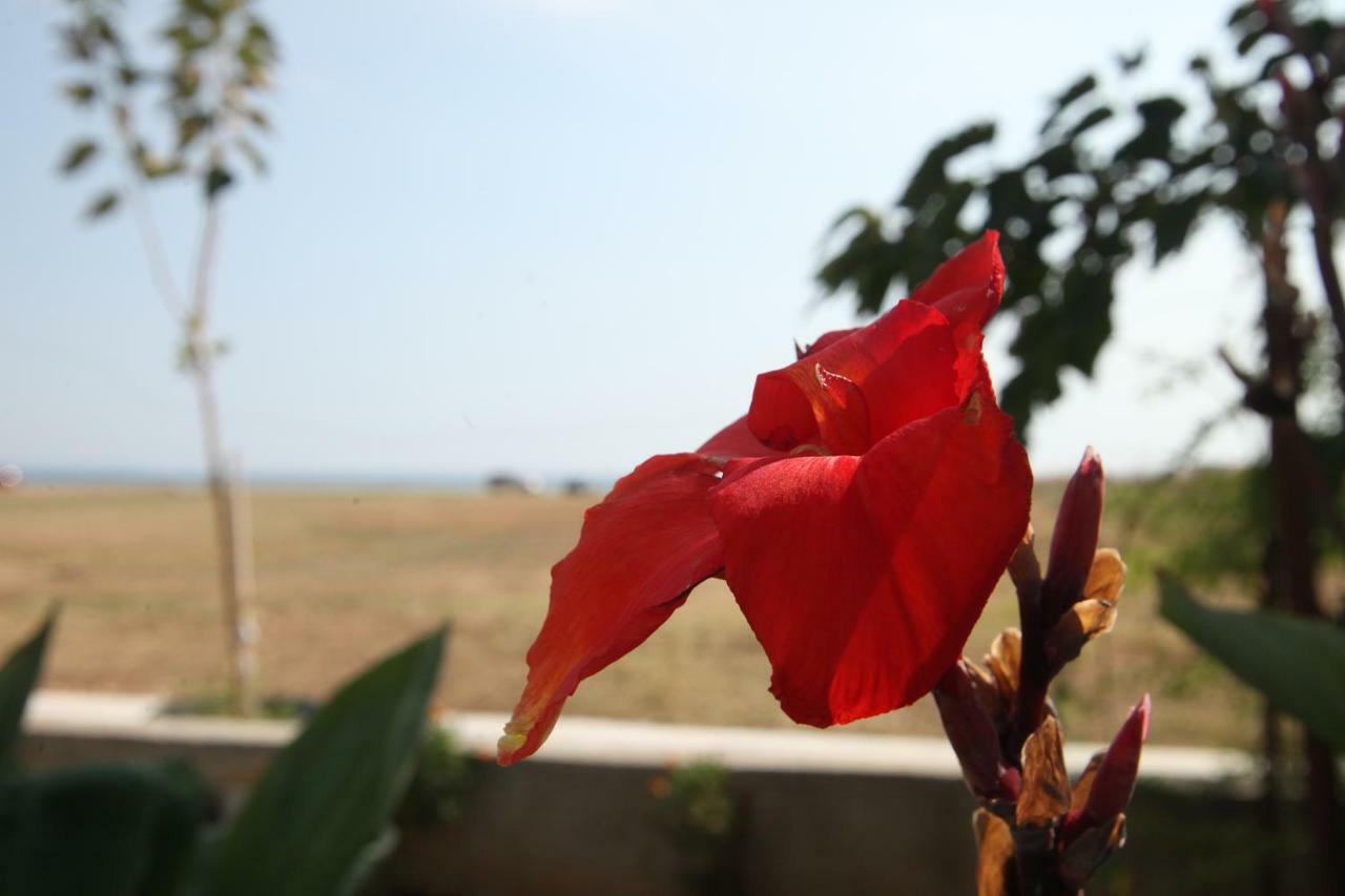 See To Sea Apartments Παραλία Διονυσίου Εξωτερικό φωτογραφία
